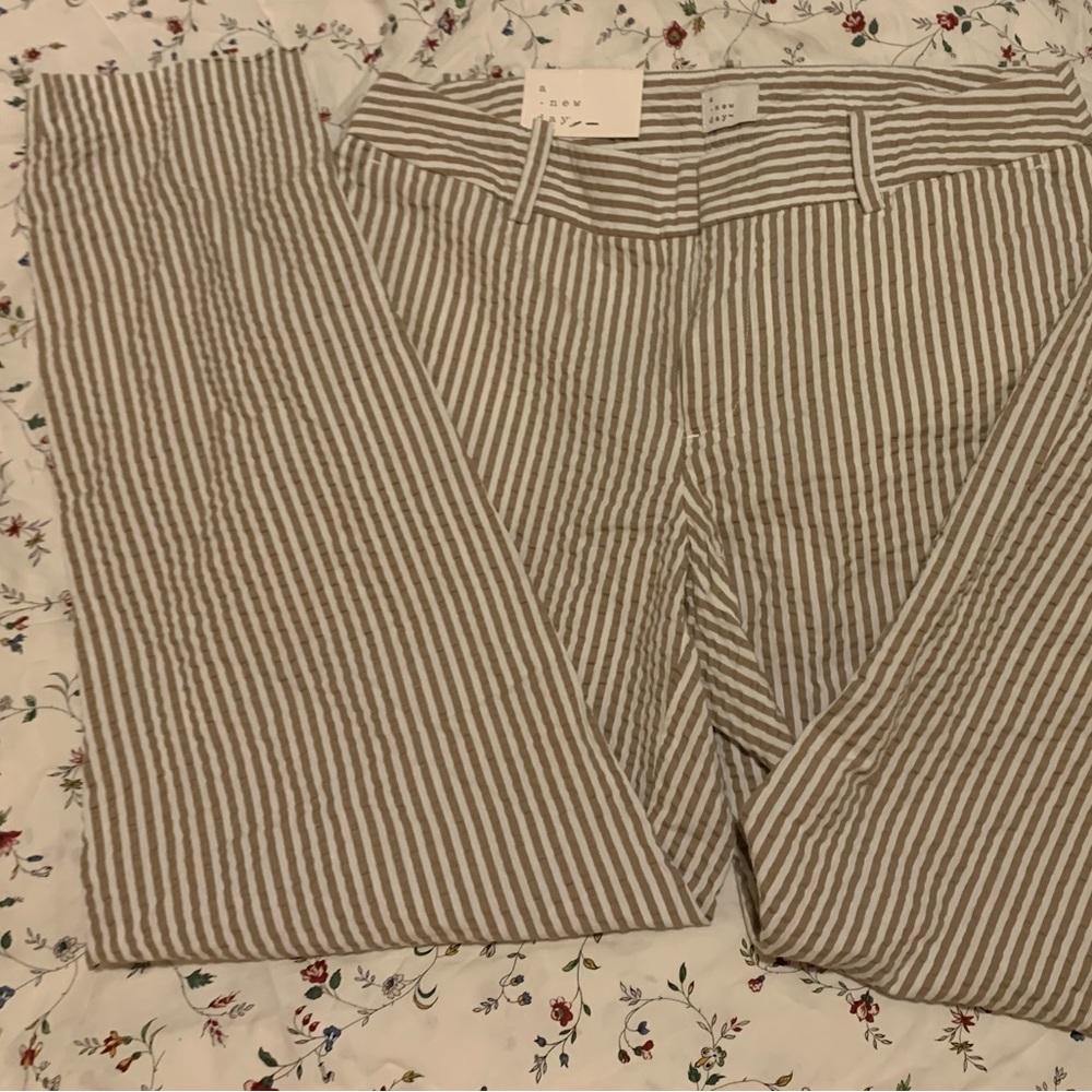 A new day pants